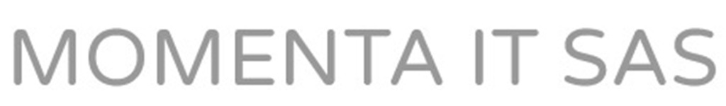 Logo Momenta IT SAS